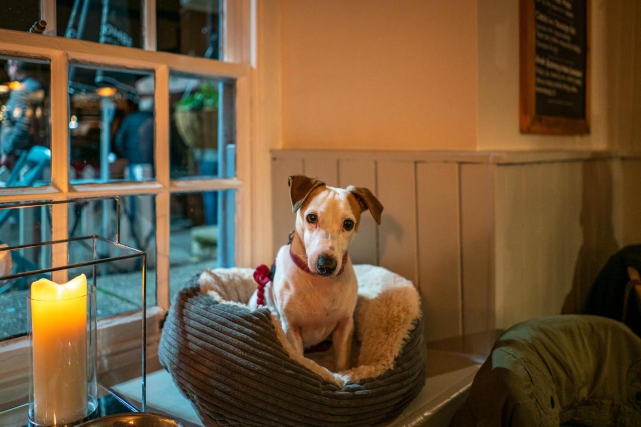 Castle Inn West Lulworth Ngoại thất bức ảnh